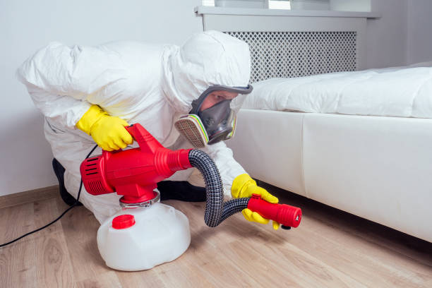 Best Local Pest Control Services  in Sheridan, CO