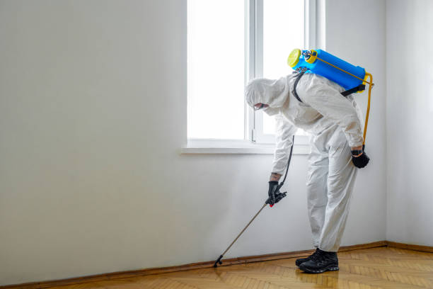 Best Pest Control for Businesses  in Sheridan, CO