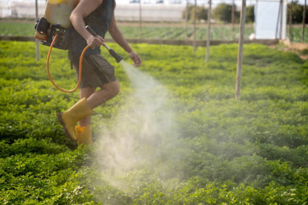 Best Mosquito Control Services  in Sheridan, CO
