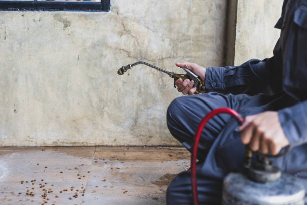 Best Residential Pest Control  in Sheridan, CO